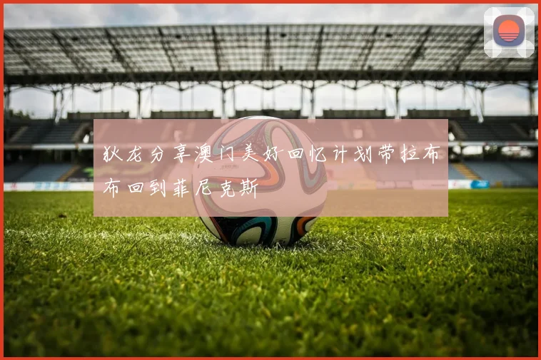 狄龙分享澳门美好回忆计划带拉布布回到菲尼克斯