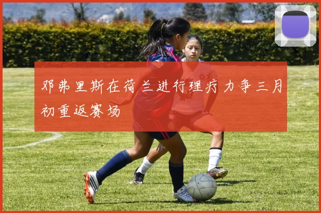 邓弗里斯在荷兰进行理疗力争三月初重返赛场